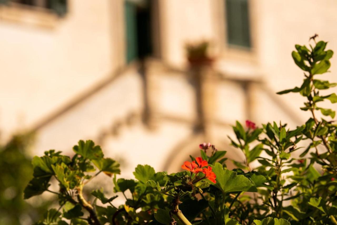 Villa Encantamiento - Dimora Gelsomino - Masseria Storica Nel Cuore Della Puglia Con Piscina Latiano Eksteriør billede
