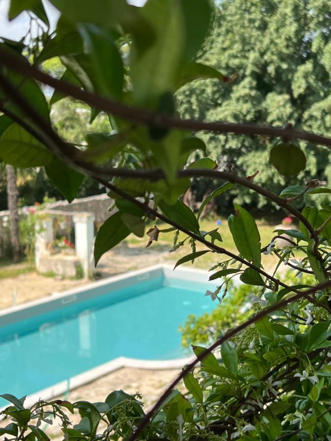 Villa Encantamiento - Dimora Gelsomino - Masseria Storica Nel Cuore Della Puglia Con Piscina Latiano Eksteriør billede
